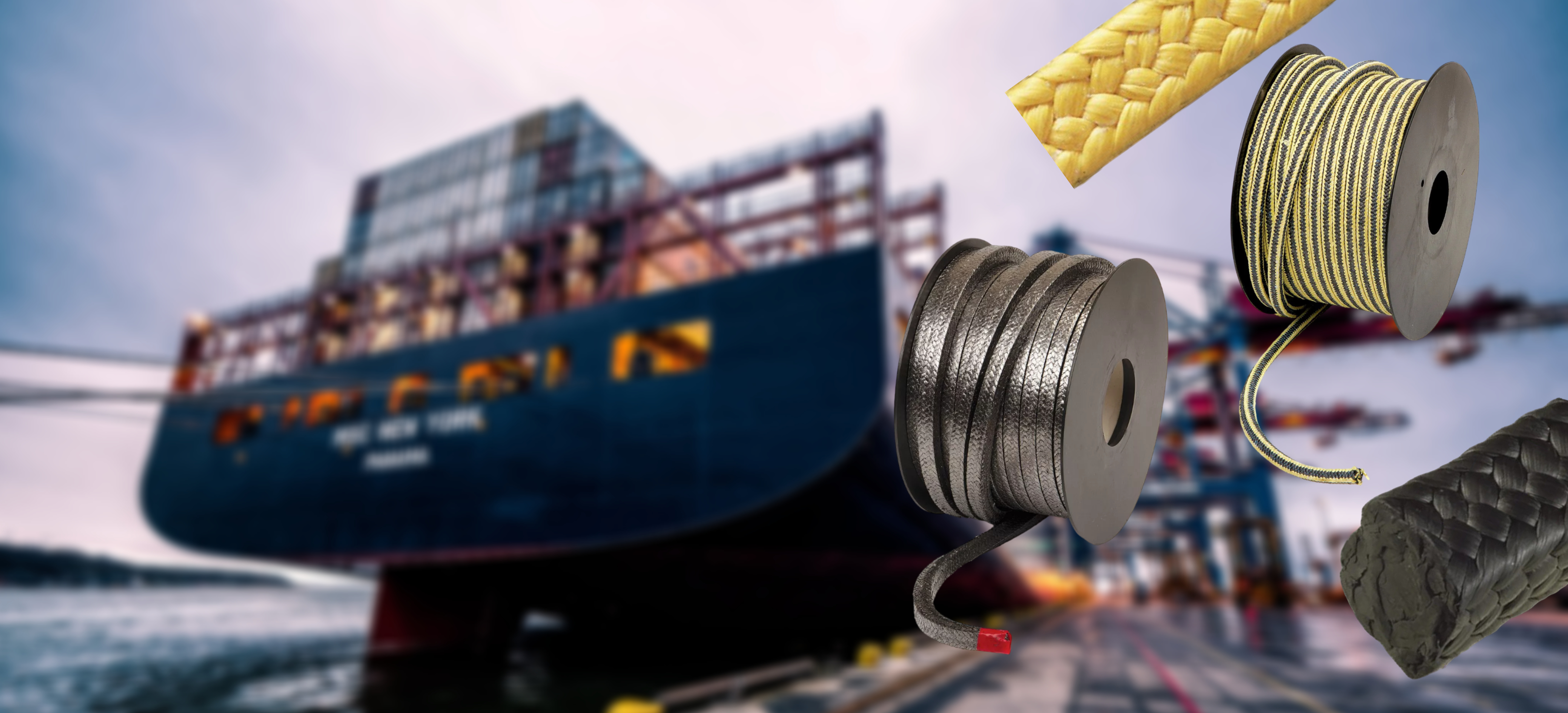 Packing Seal or Mechanical Seal?