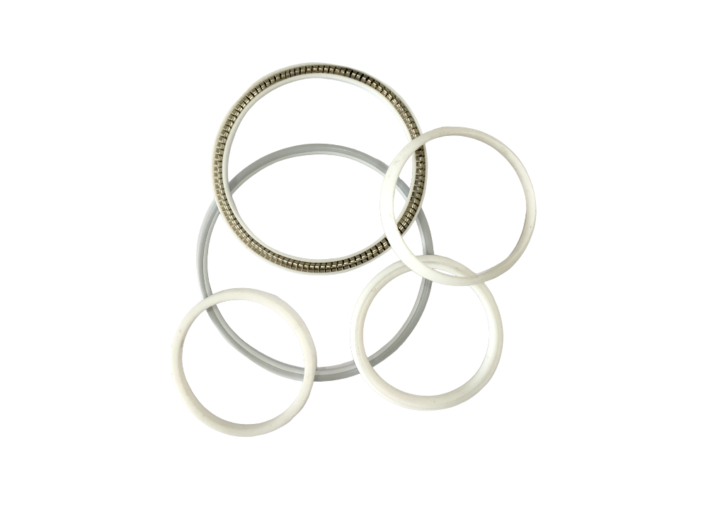 PTFE Nutring and TTV O-rings